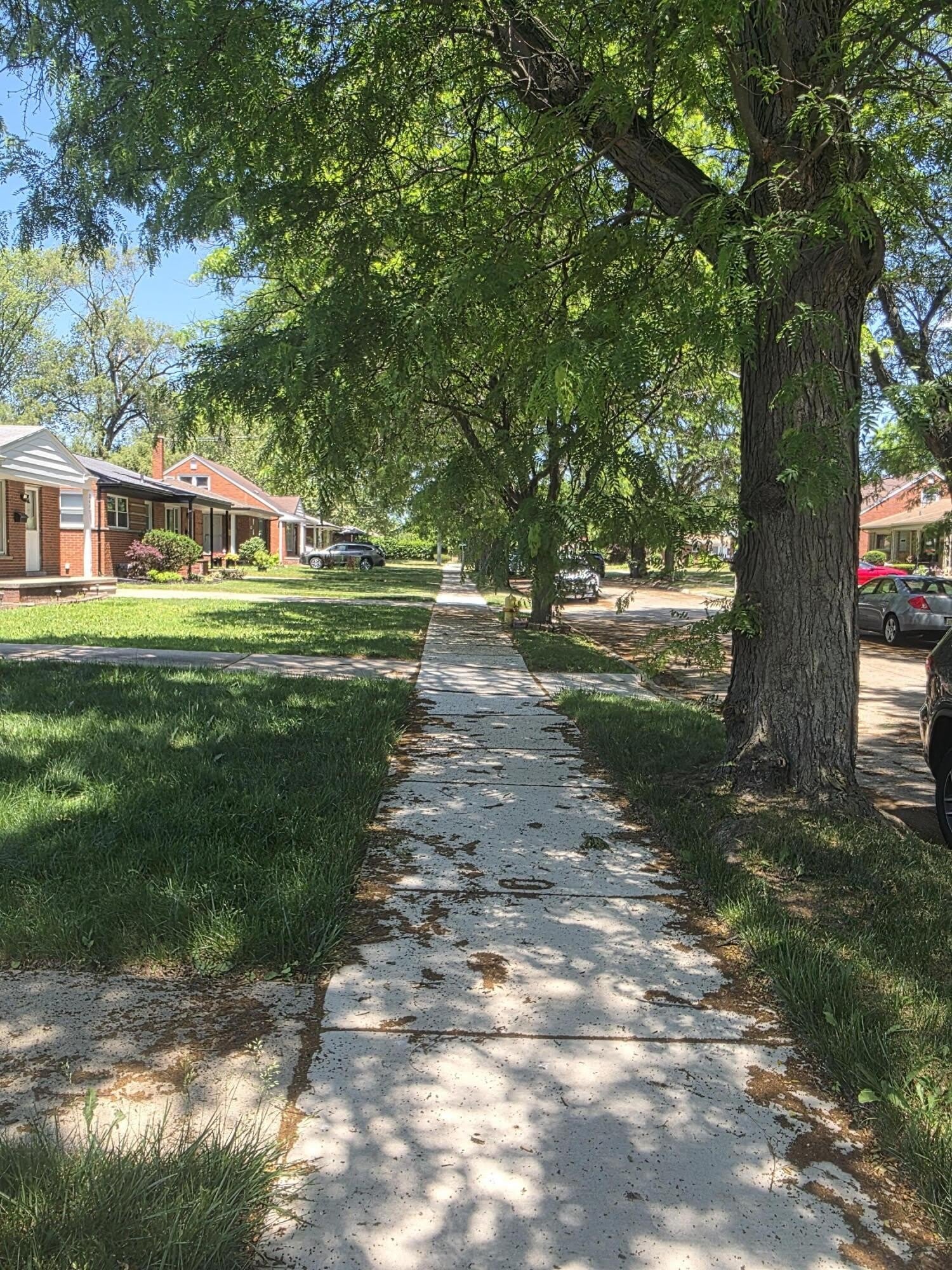 24051 Geneva Street – photo 3