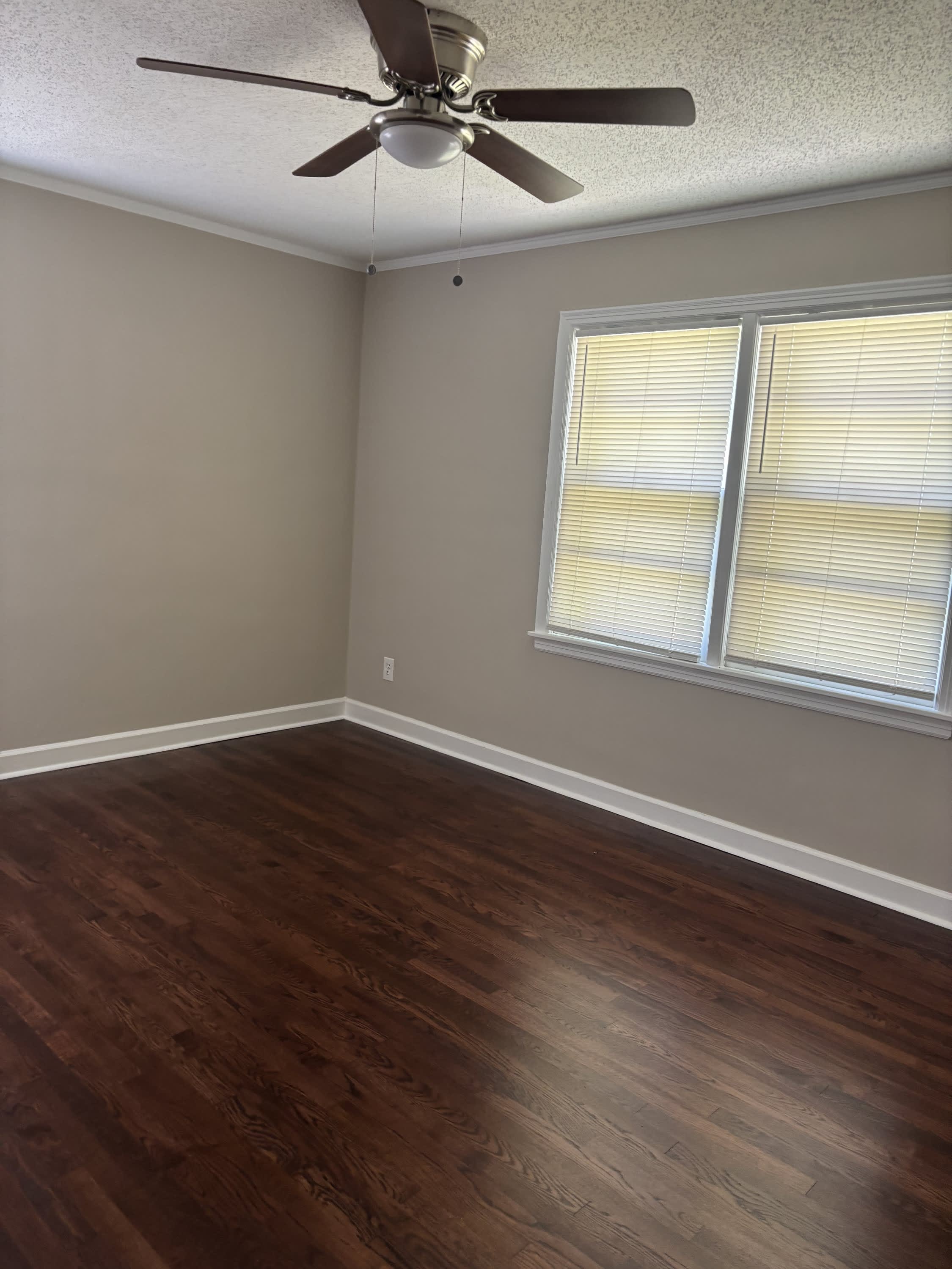 923 Tampa – photo 4