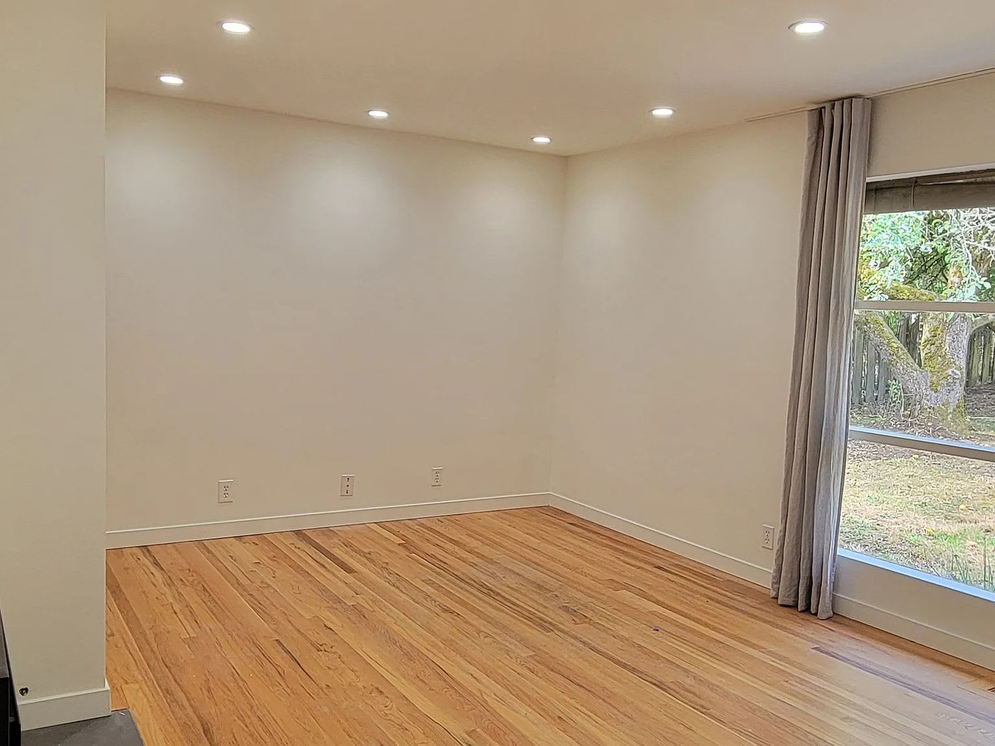Updated 3-Bedroom Home with Spacious Yard in Broadview/Bitter Lake – photo 3