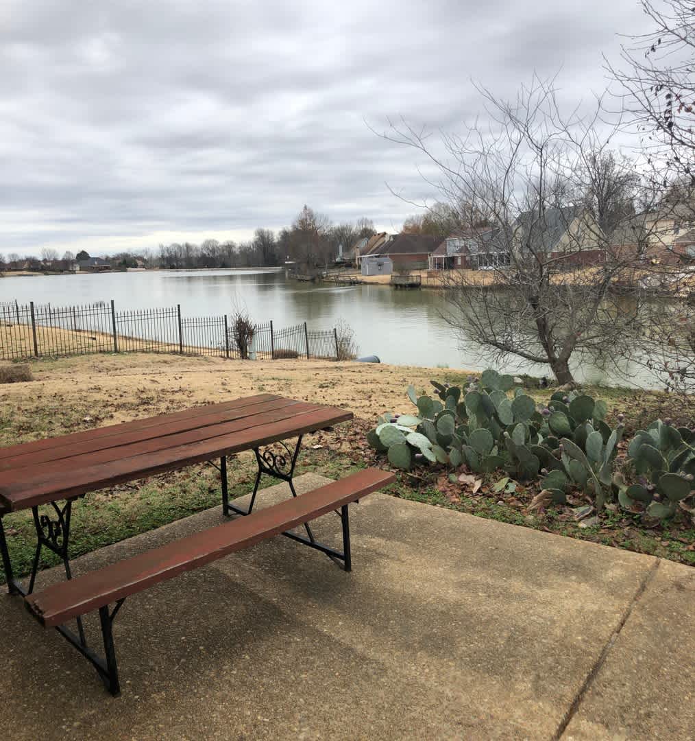 On the Lake at Plantation Lakes in Olive Branch – photo 2