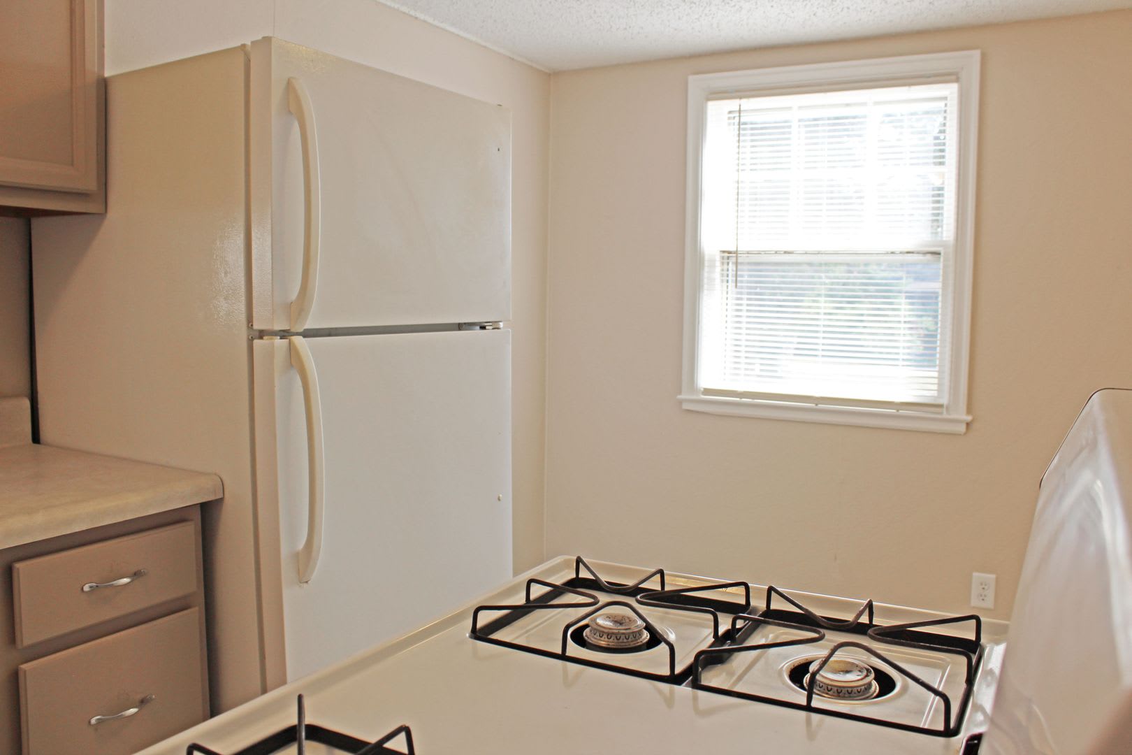 1 Bedroom 1 Bath House For Rent – photo 2