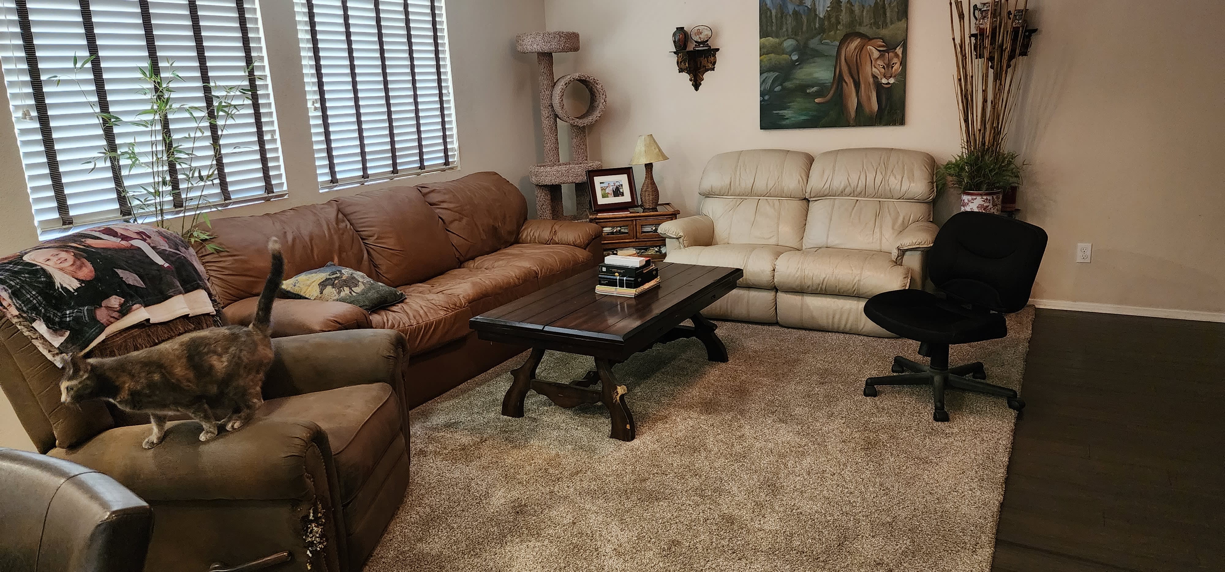 34129 Hillside Drive – photo 5