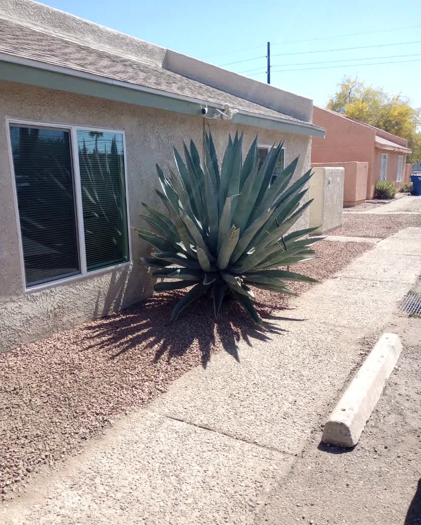 3455 East Pima Street – photo 1