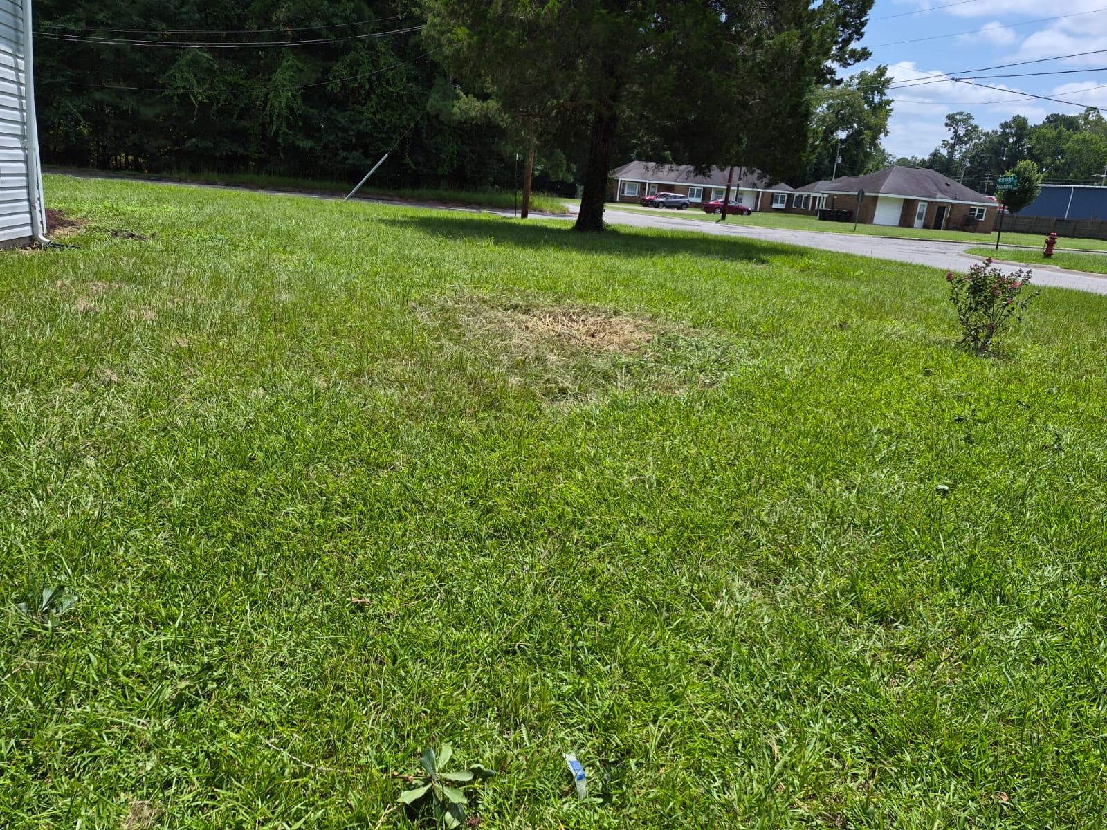 401 N Randolph St – photo 2