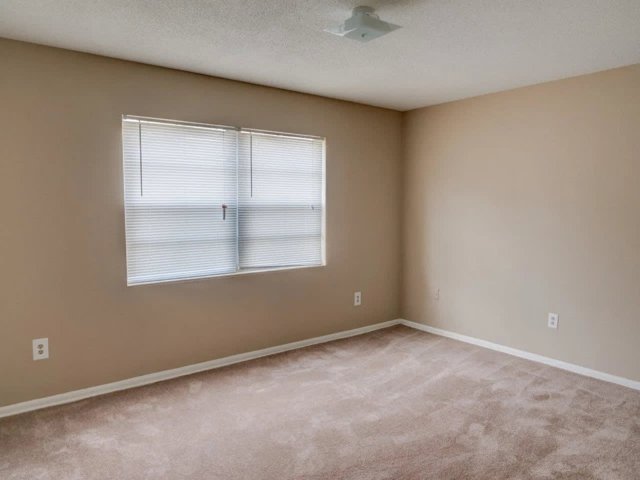 Hibiscus Place – photo 5
