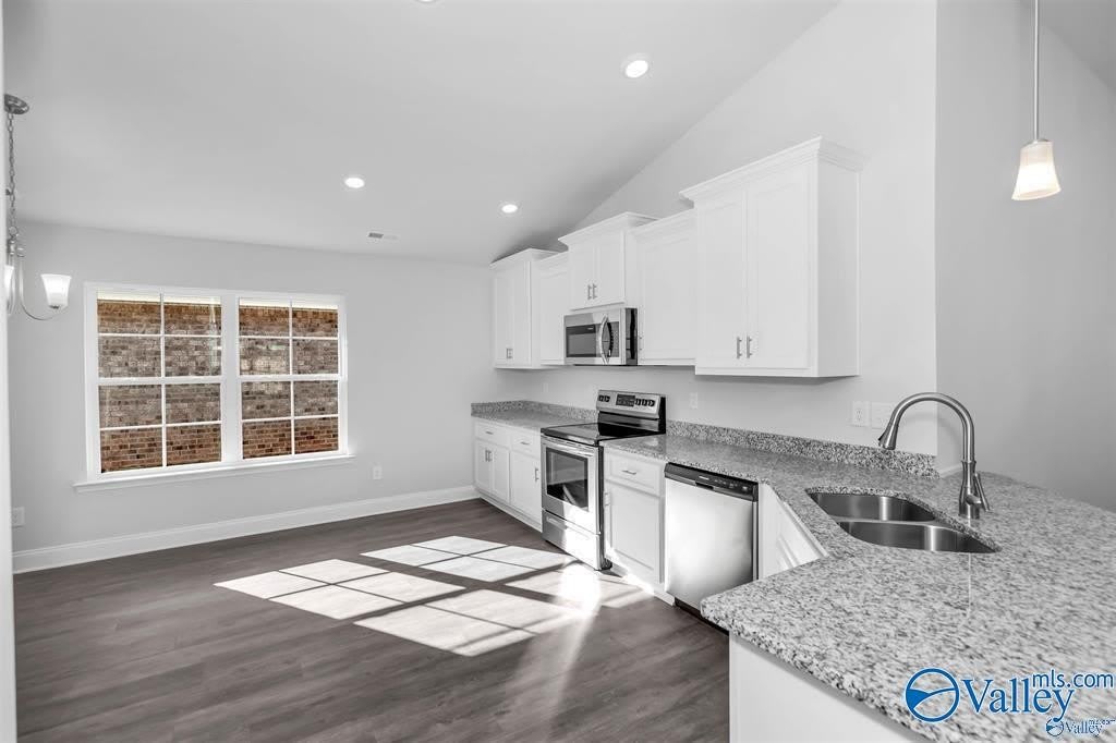 219 Alonzo Toney Drive – photo 3