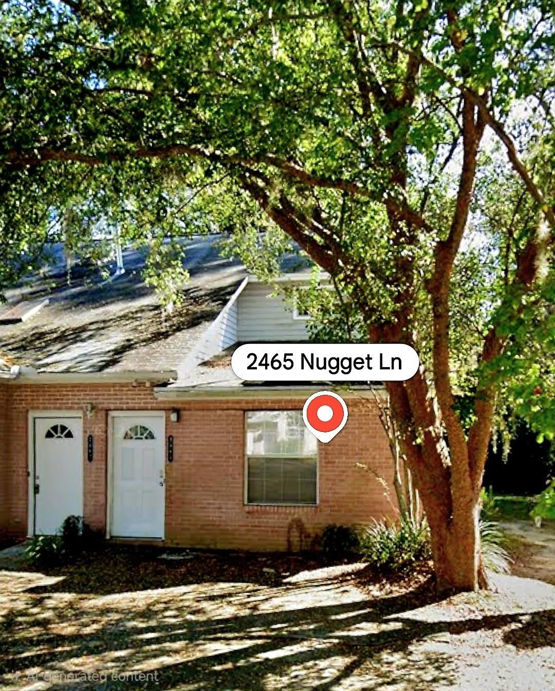 2465 NUGGET Lane – photo 1