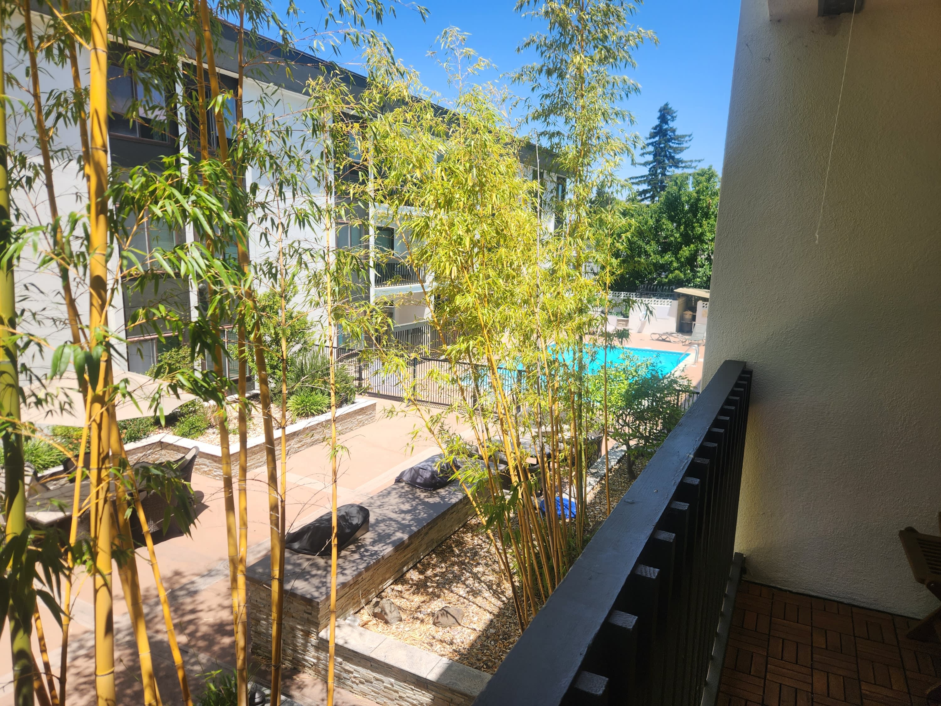 316 North El Camino Real #212 – photo 5