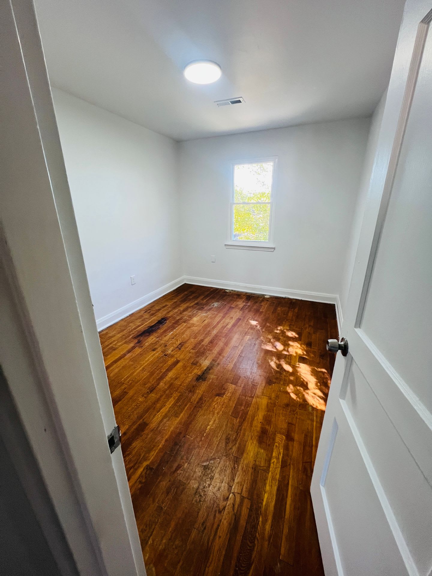 Newly renovated Arlington neighborhood apartment – photo 4