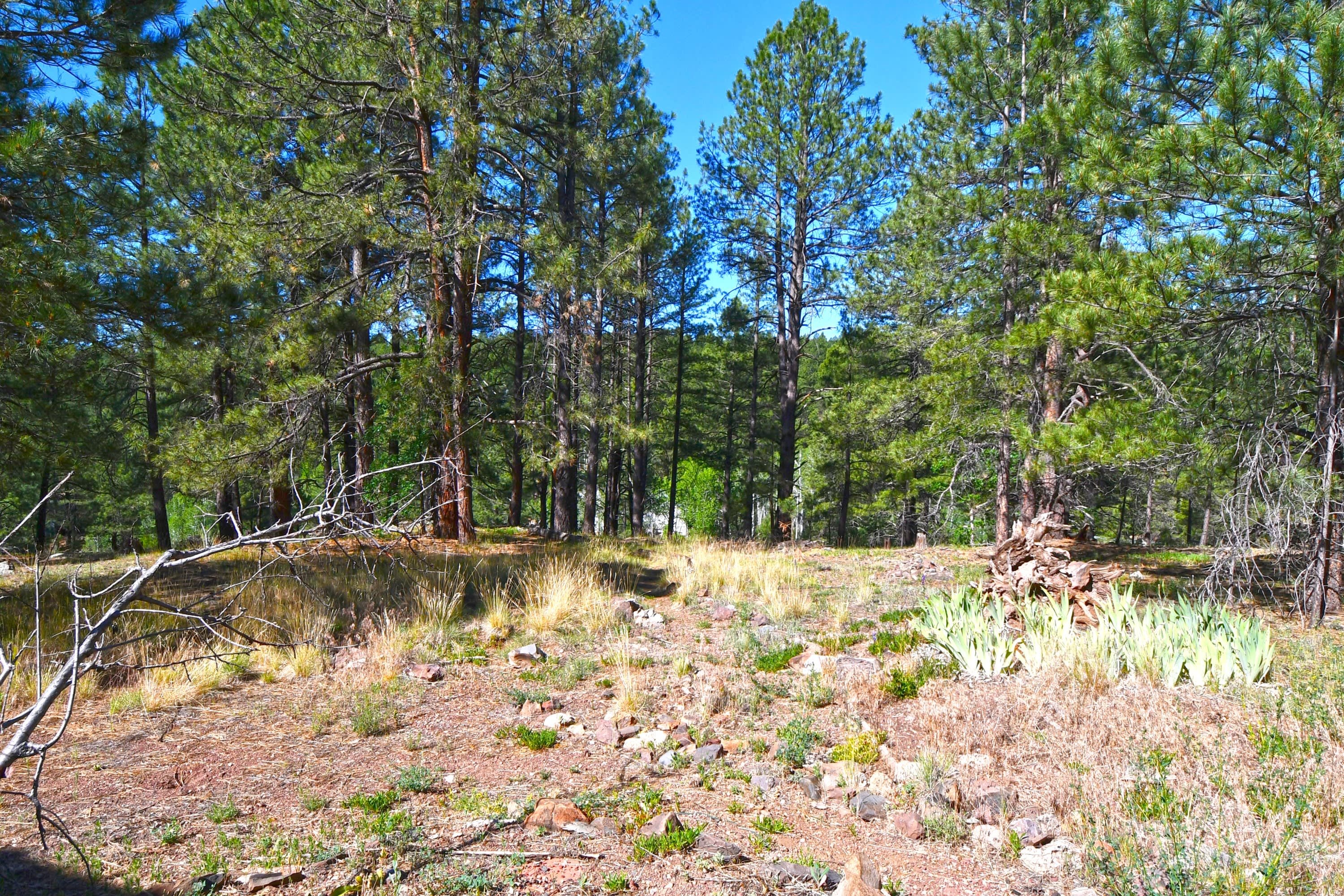 2678 Mesa Trail 4 1 – photo 3