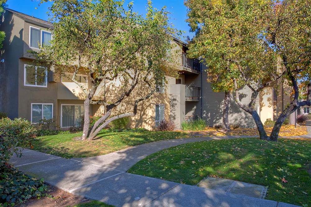 View at Marin Apartments – photo 3