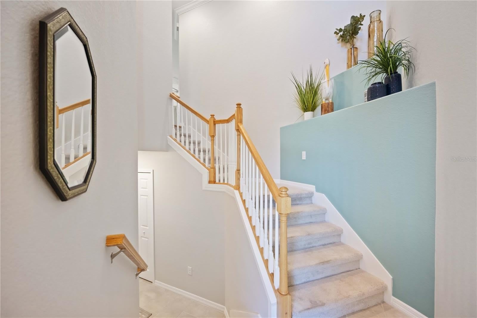 10817 TARFLOWER Drive – photo 3