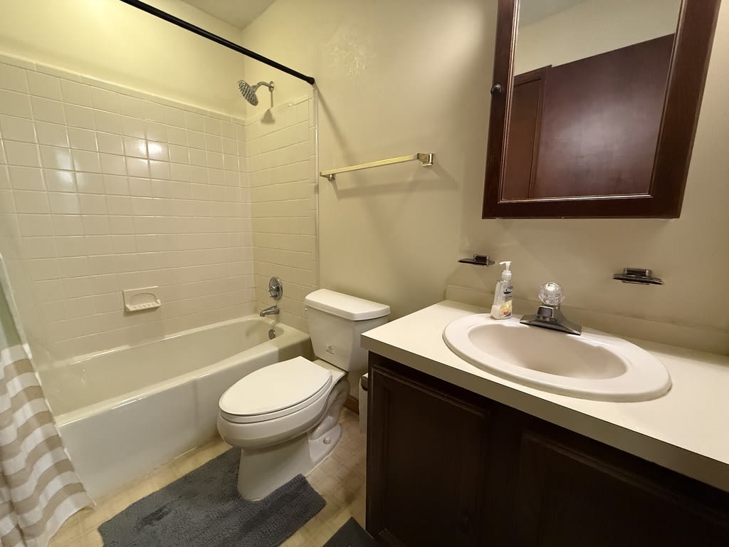 23243 White Birch Court – photo 5
