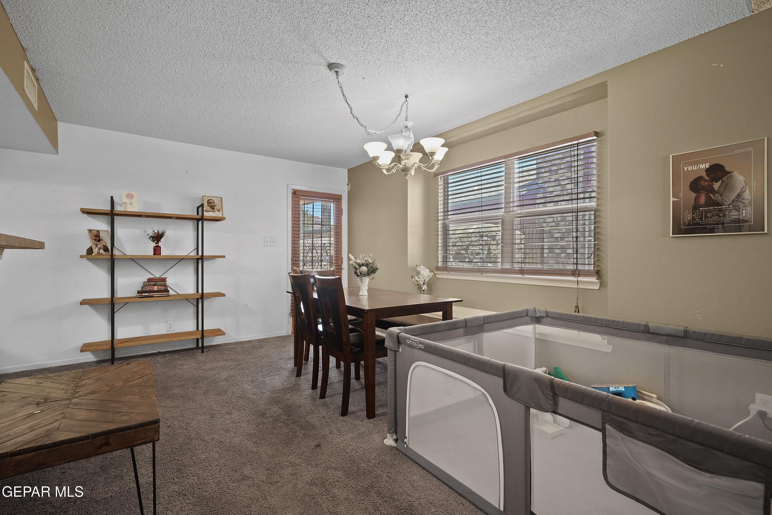 5009 CEDAR SANDS Lane – photo 5