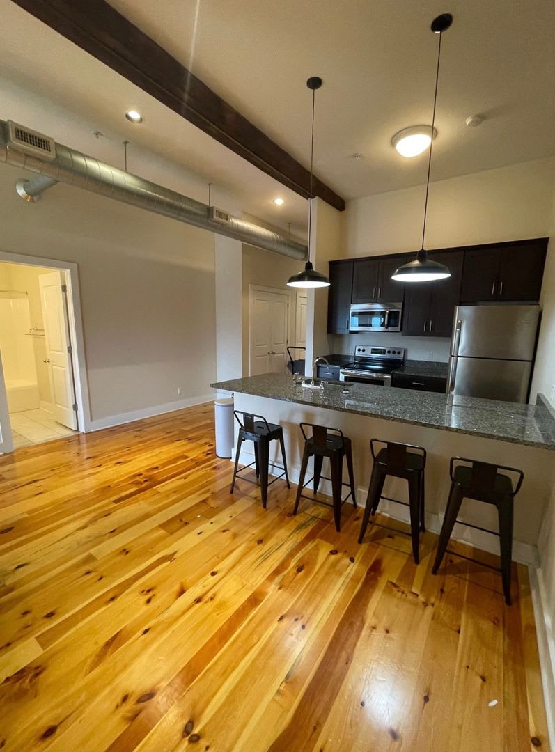1 Bedroom 1 Bathroom Luxury Apartment in Cohoes – photo 5