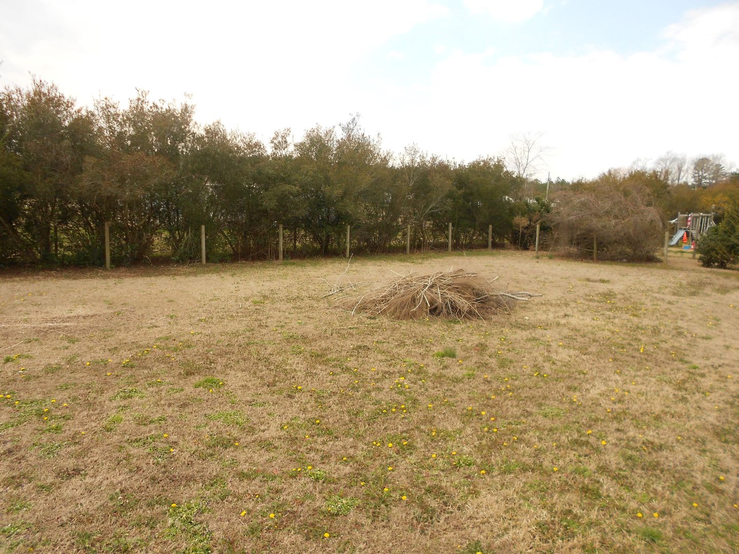 Running Root Estates – photo 3