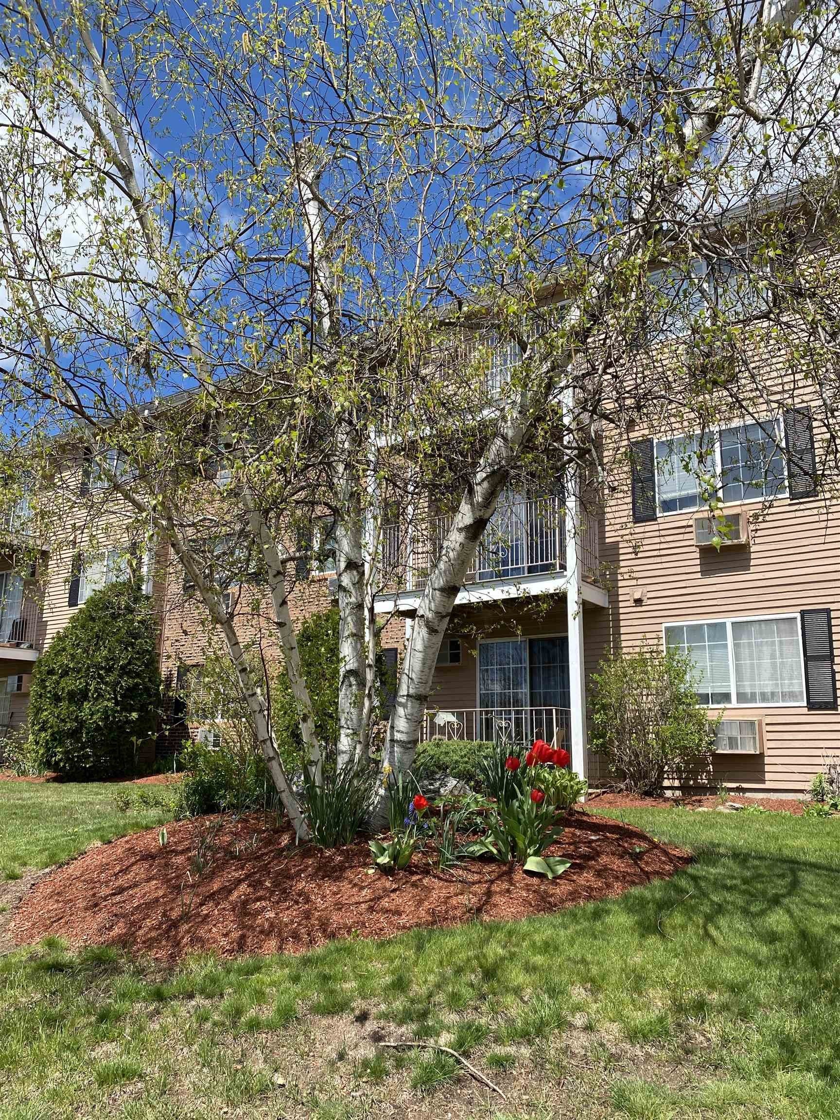 383 Huse Road – photo 4