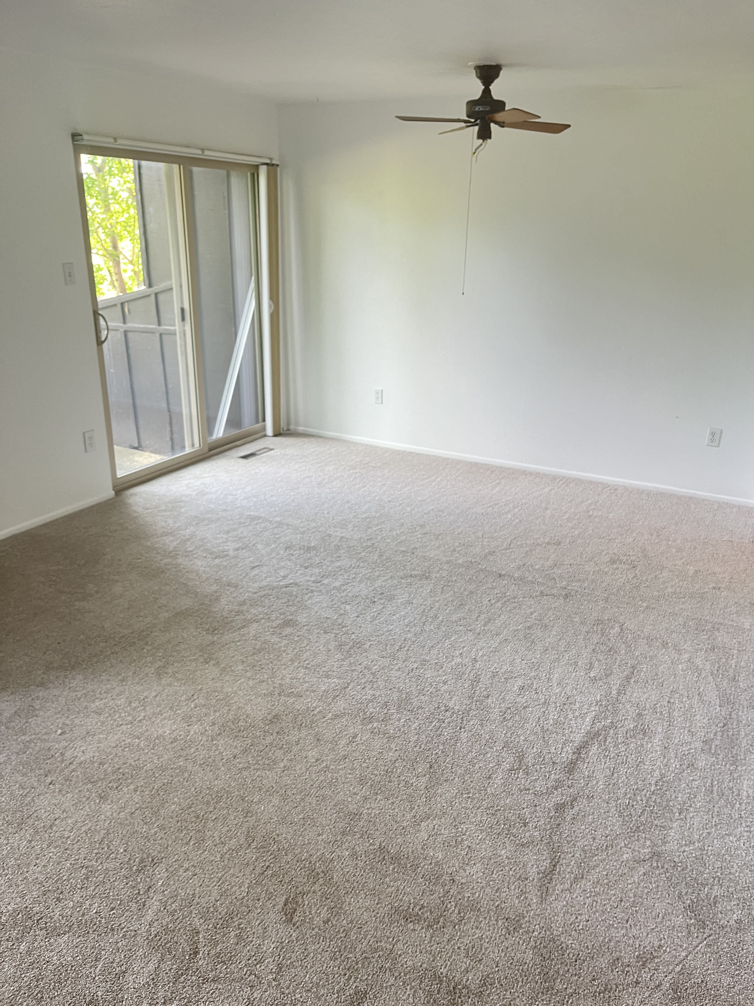 1165 Bear Mountain Dr – photo 3