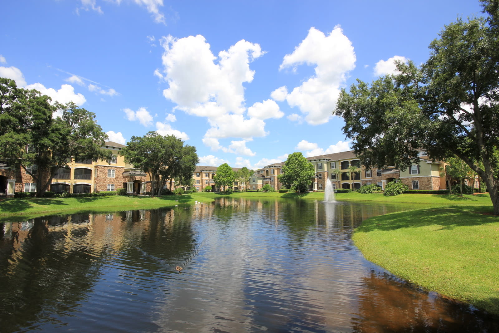 10121 Courtney Palms Blvd Apt 201 – photo 1