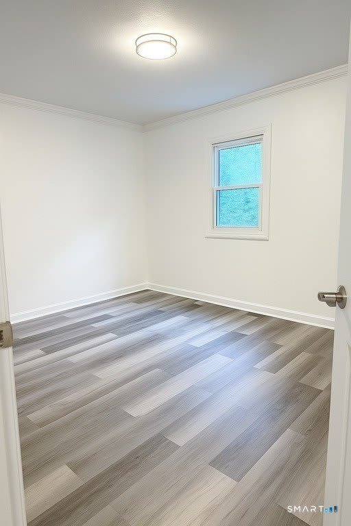 59 Park Lane Road – photo 4