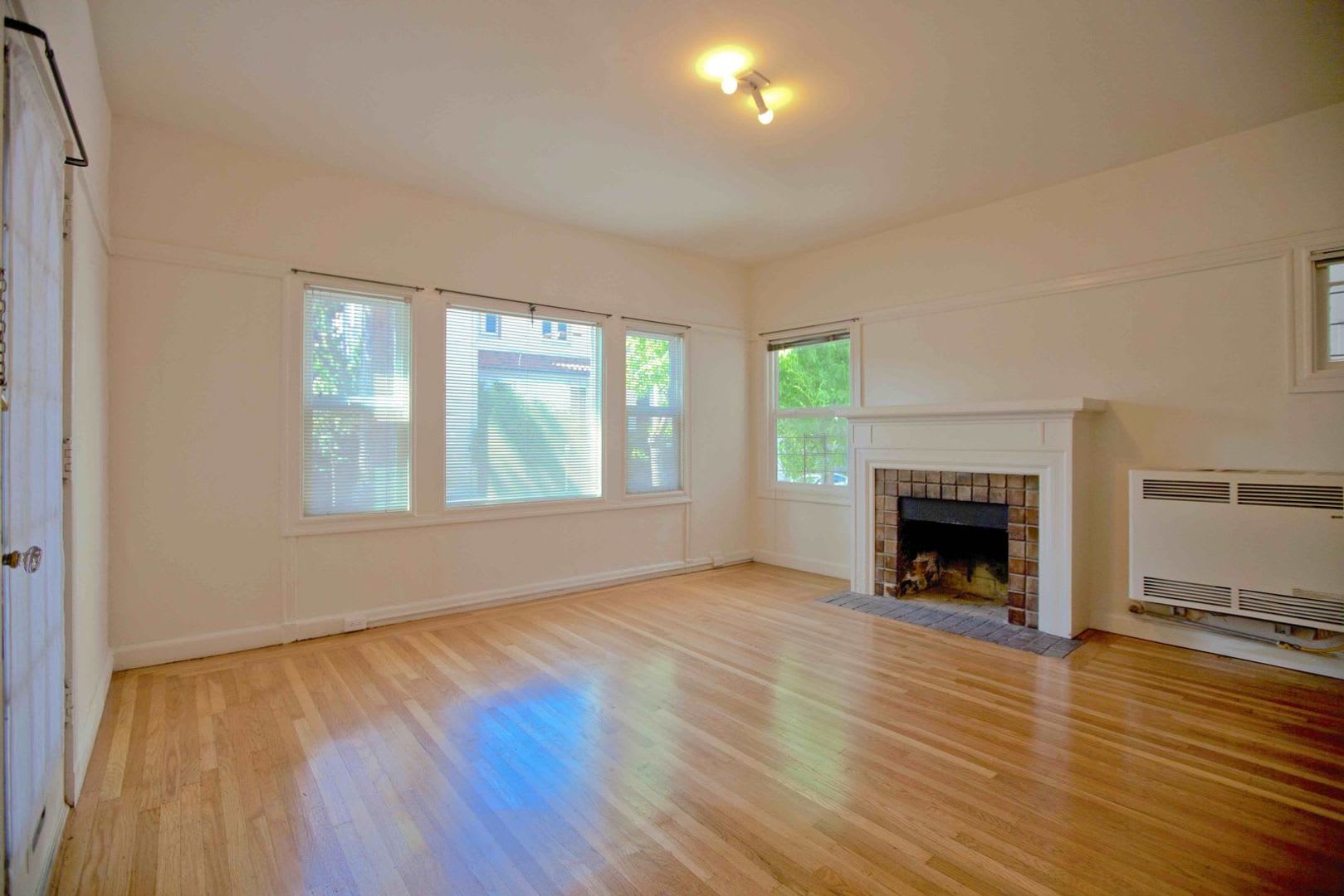 Beautiful, spacious 1-bdr with new windows, great wood floors, and lots of storage space – photo 3