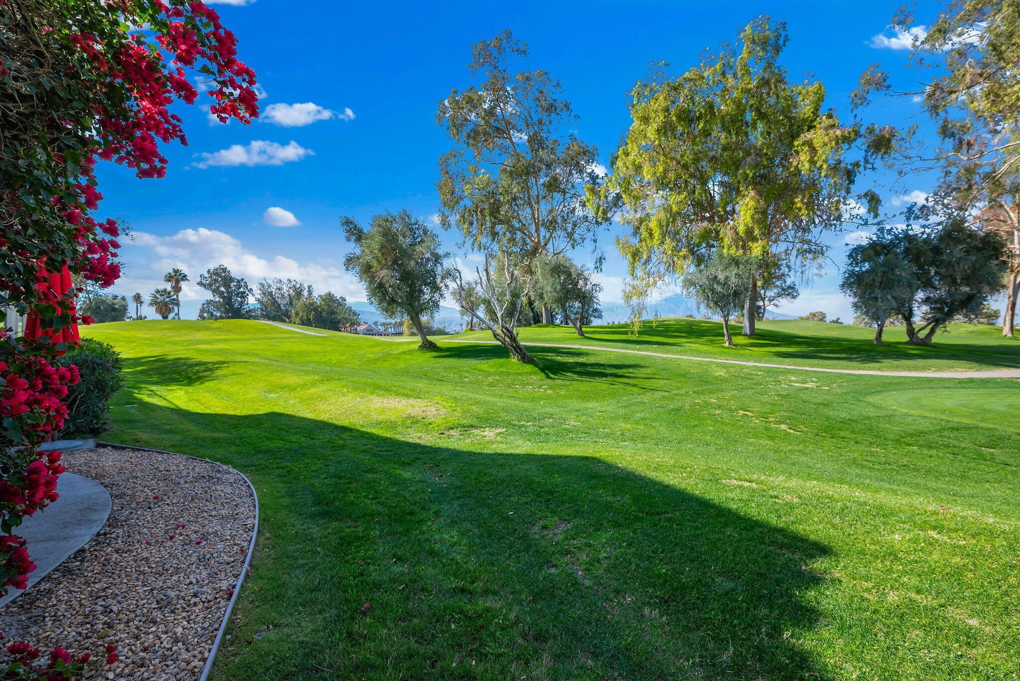 207 Desert Falls Circle – photo 1