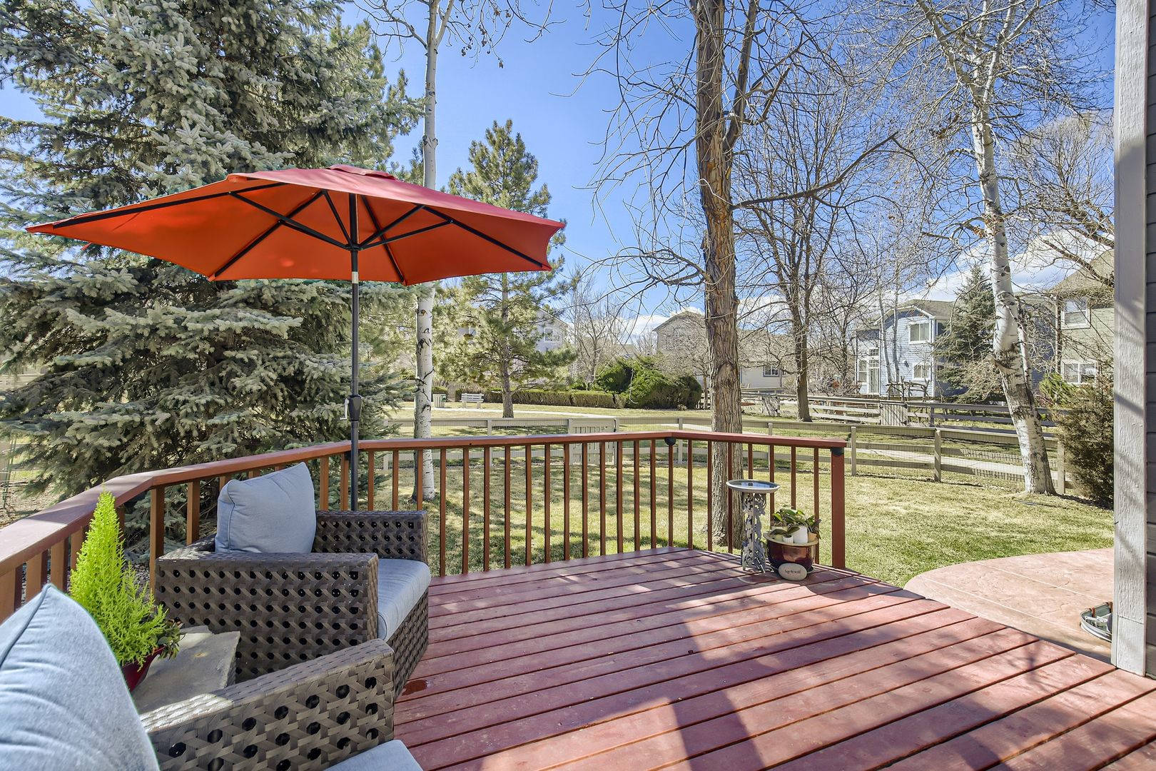 Spacious 4 BDR Longmont Home – photo 4
