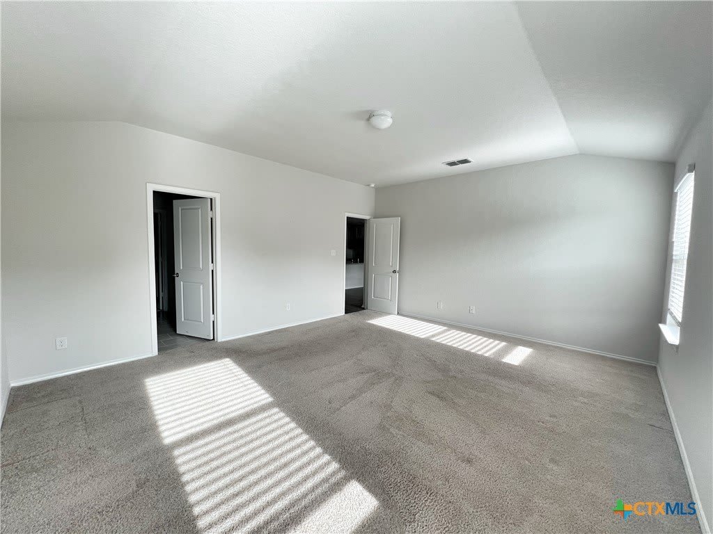 29529 Spring Copper – photo 5