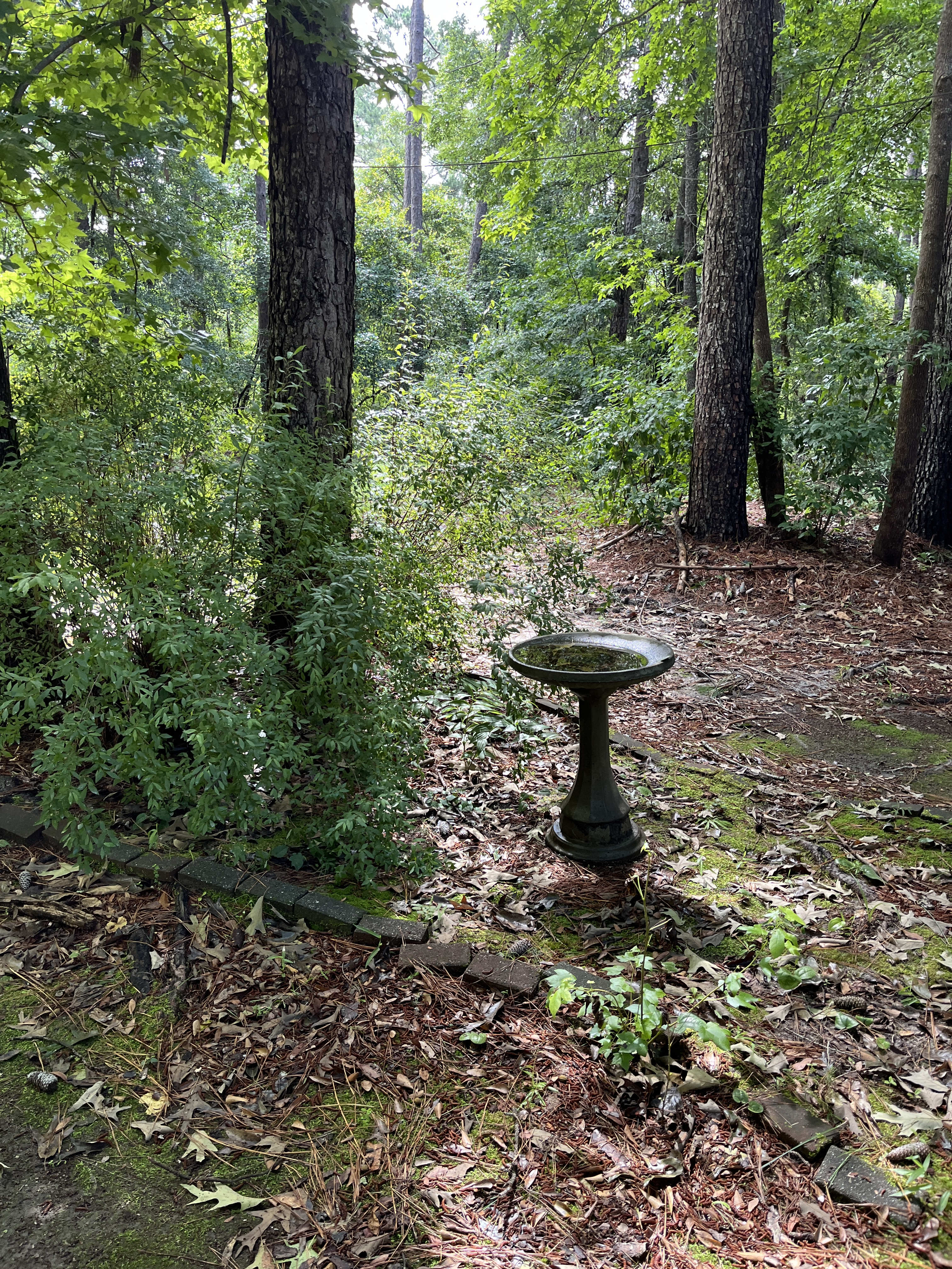 124 Winding Way – photo 5