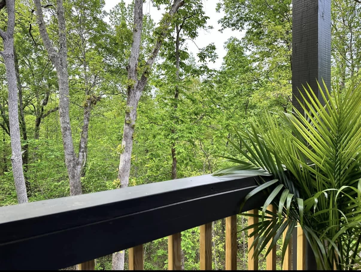 55 Martin Ridge Trace – photo 1