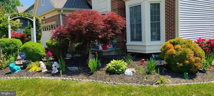 11601 LIGHTHOUSE Drive – photo 3