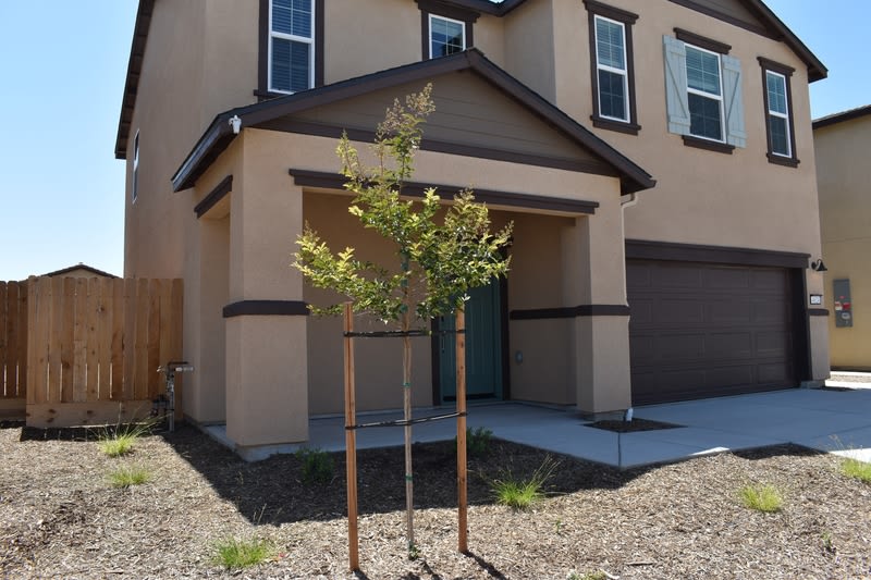 4624 Athena Drive – photo 3