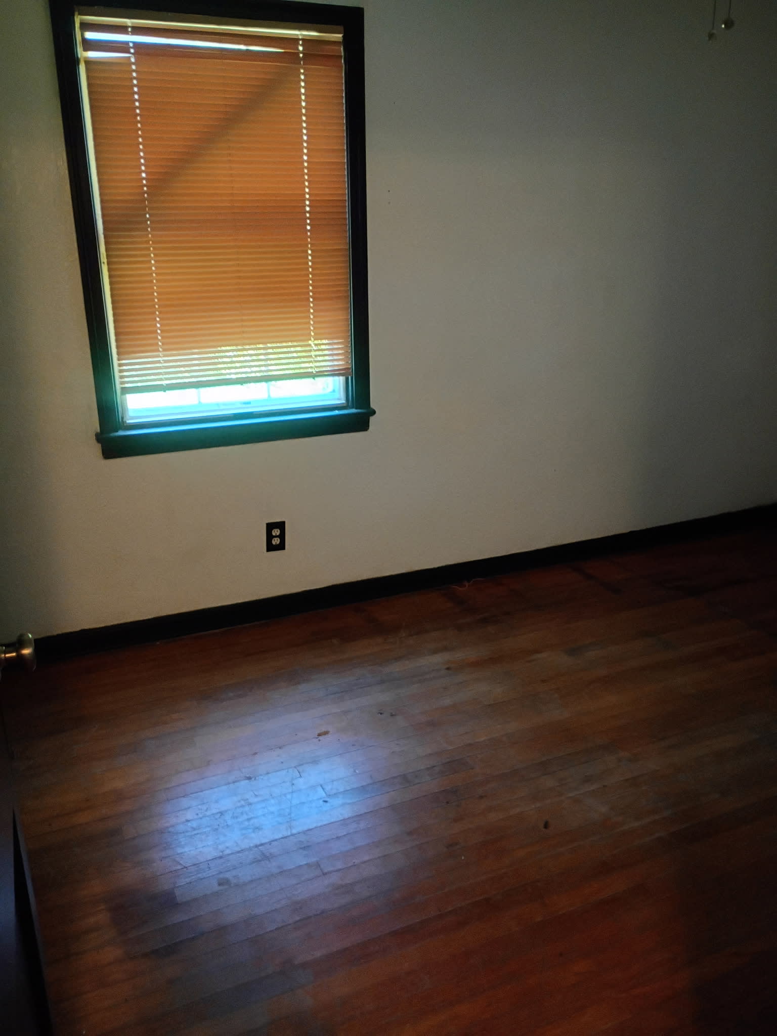 3546 Oleander Street – photo 3