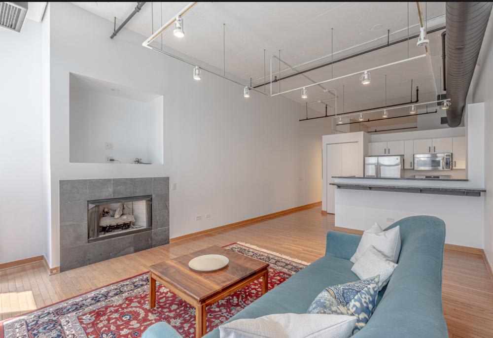 333 W Hubbard – photo 3