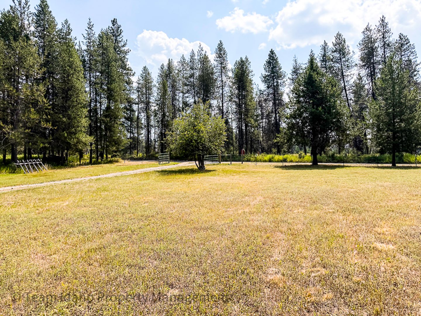 Country Living! 3 Bed/ 2 Bath single family home in Fernwood Idaho – photo 4
