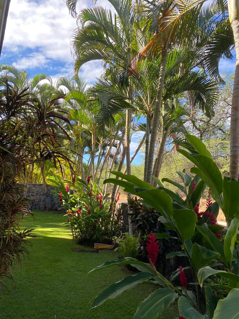 Tropical oasis – photo 2