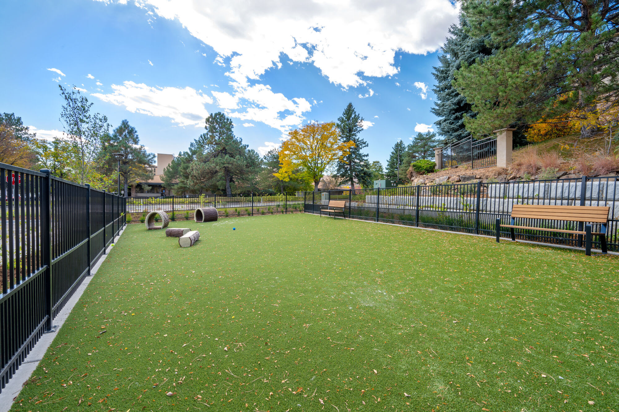 The Charles Denver West – photo 3