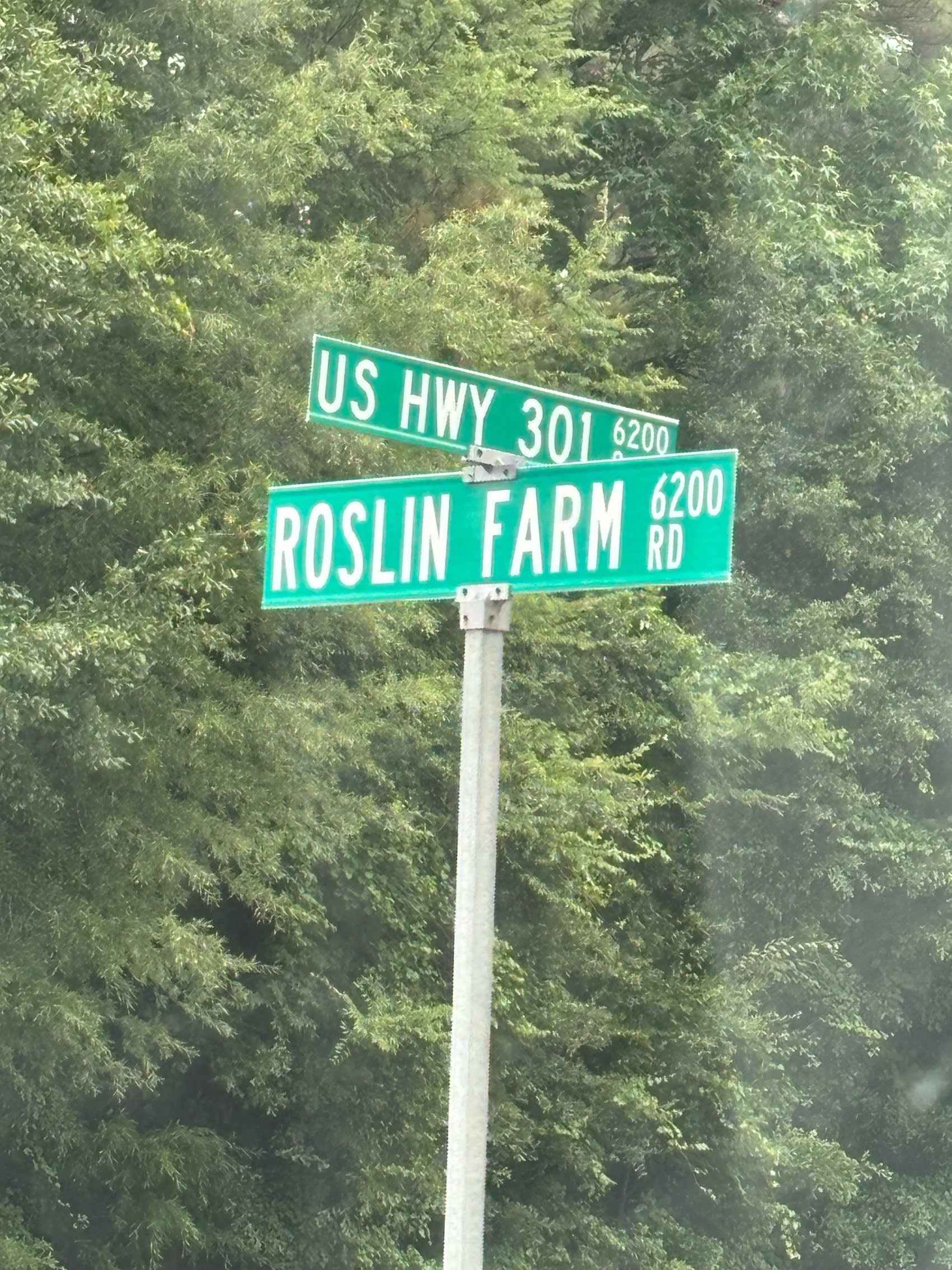 6315 U.S. 301 – photo 3