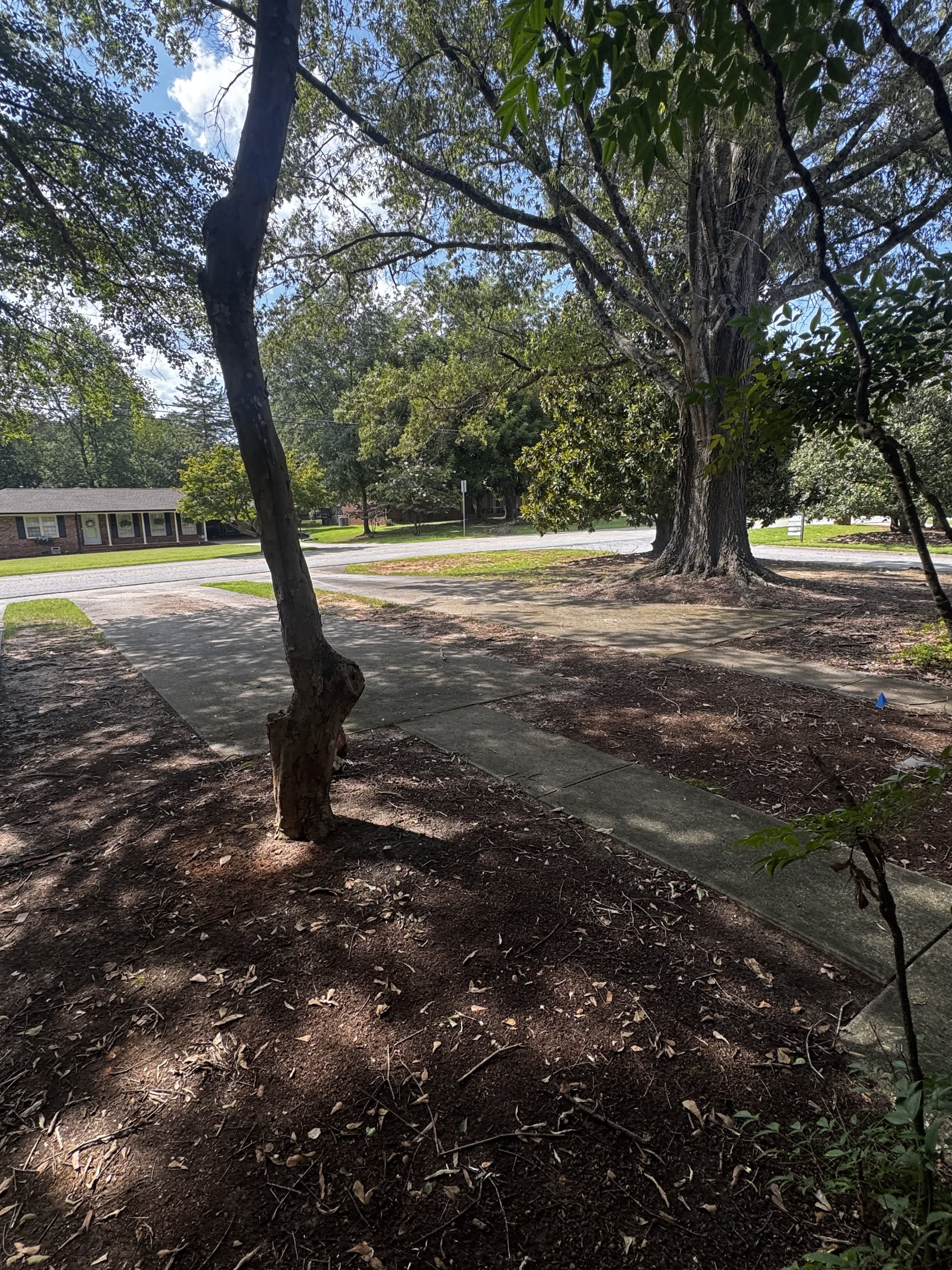 482 Huntington Rd. – photo 3