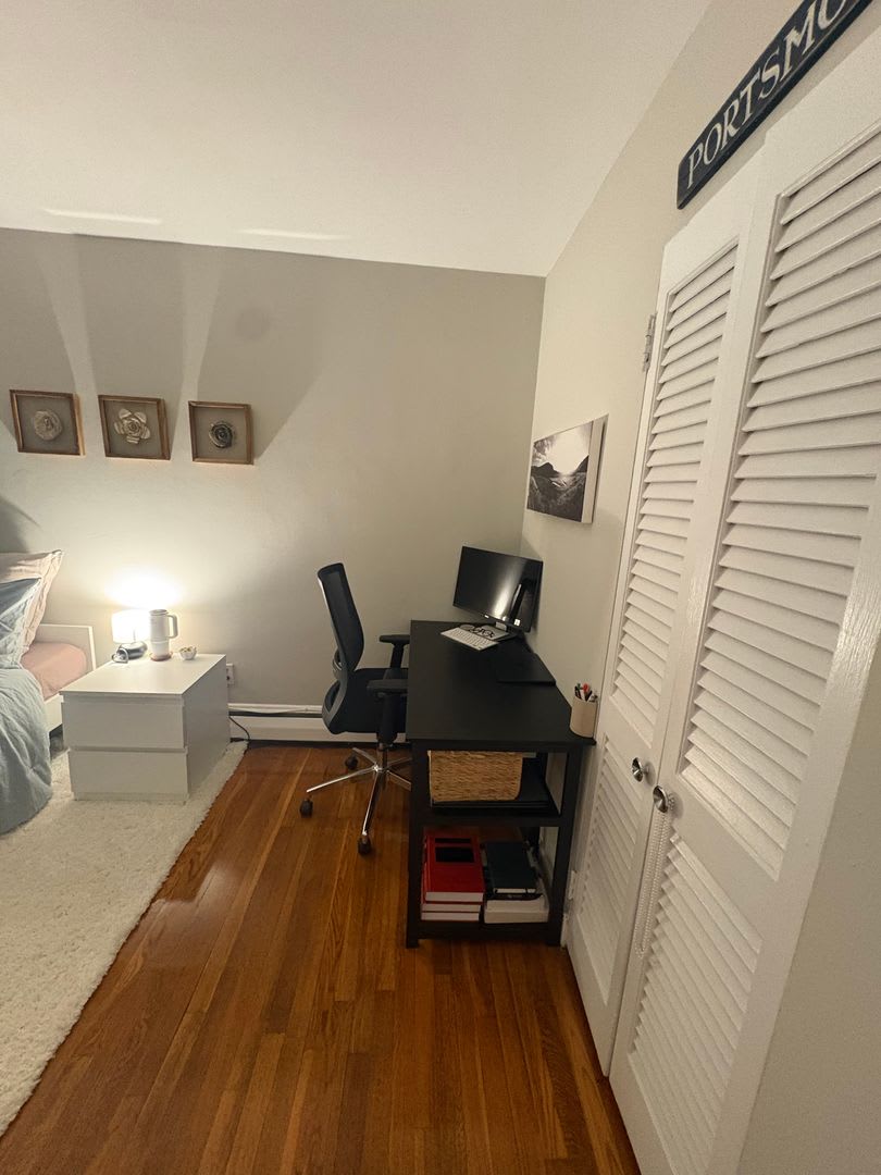 See YT Video! No Fee! Huge & Sunny Apt near Ts & Cleveland Cirlce. Cat Friendly – photo 2