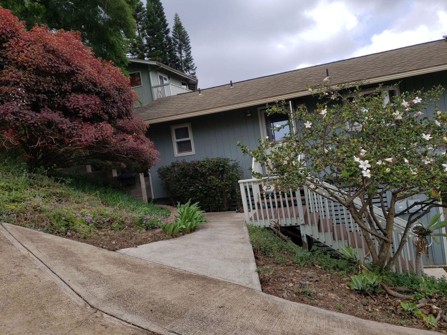 1 Bd 1Ba Unfurnished Kula Cottage Lower Kula Rd Available September 1St – photo 4