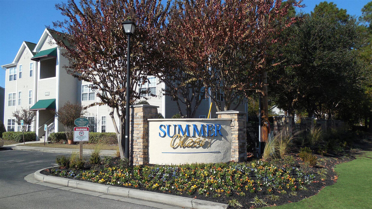 Summer Chase – photo 2