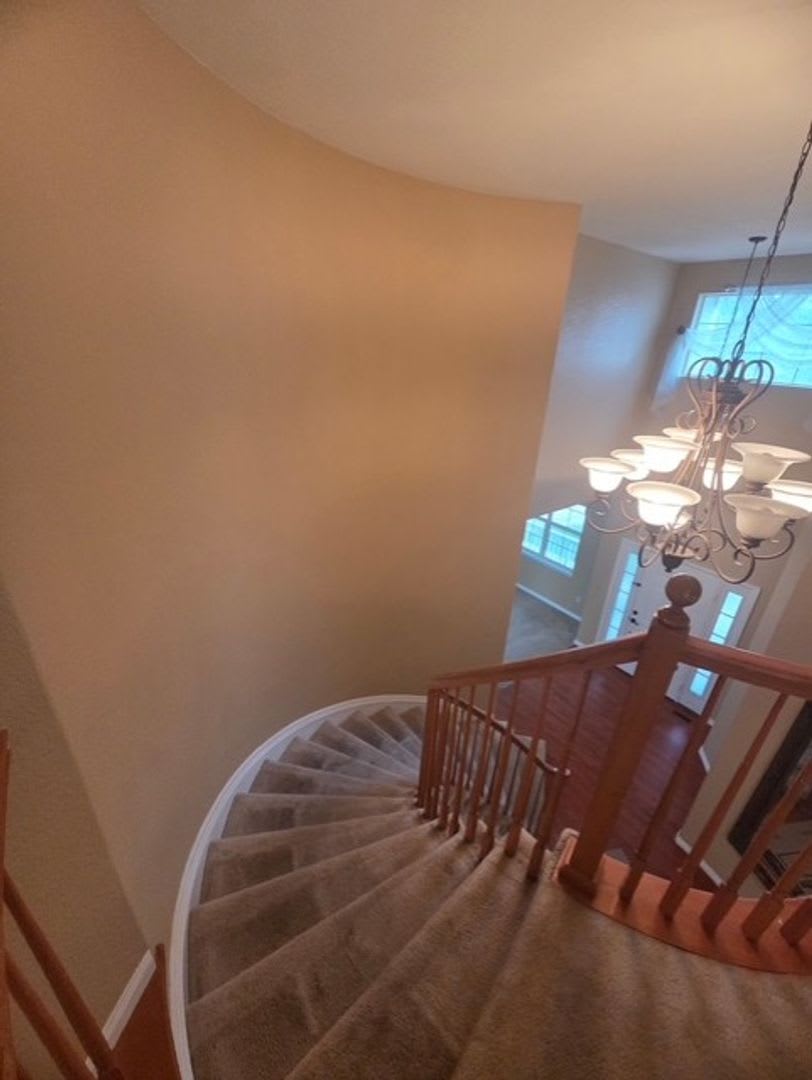 Beautiful 4 Bedroom Home Available In Thornton – photo 5