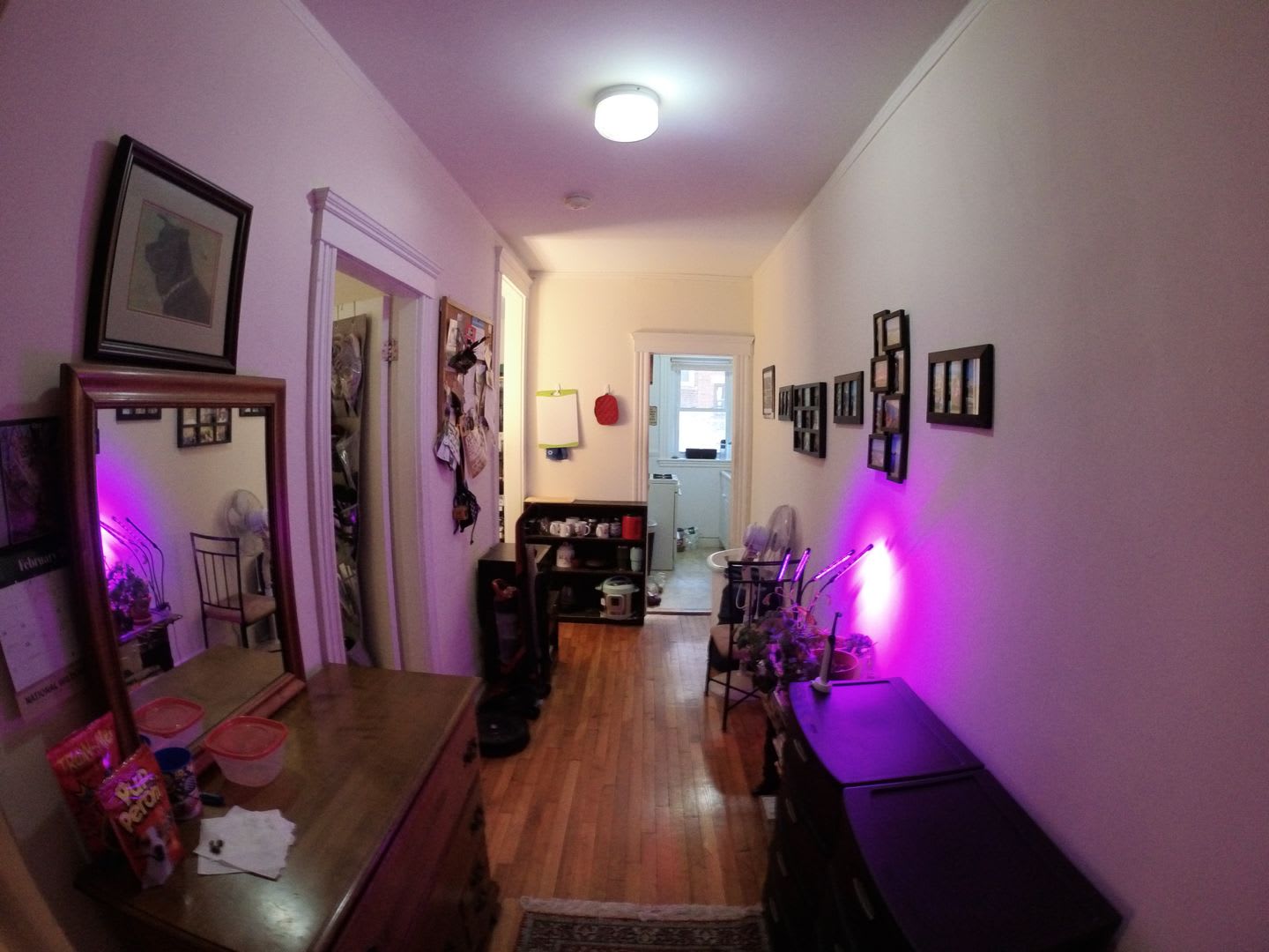 1bed 1split in Brighton is available in 8/1 – photo 2