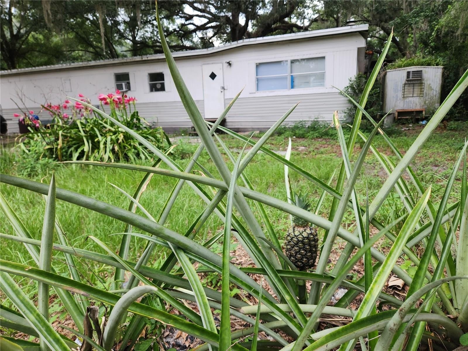 24815 AUDREY Road – photo 1