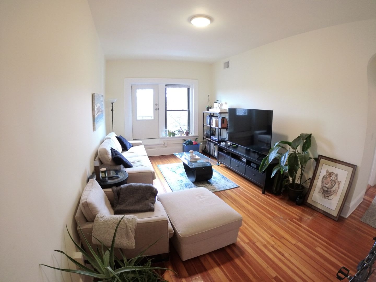 Charming 2 Bedroom No Broker Fee – photo 2