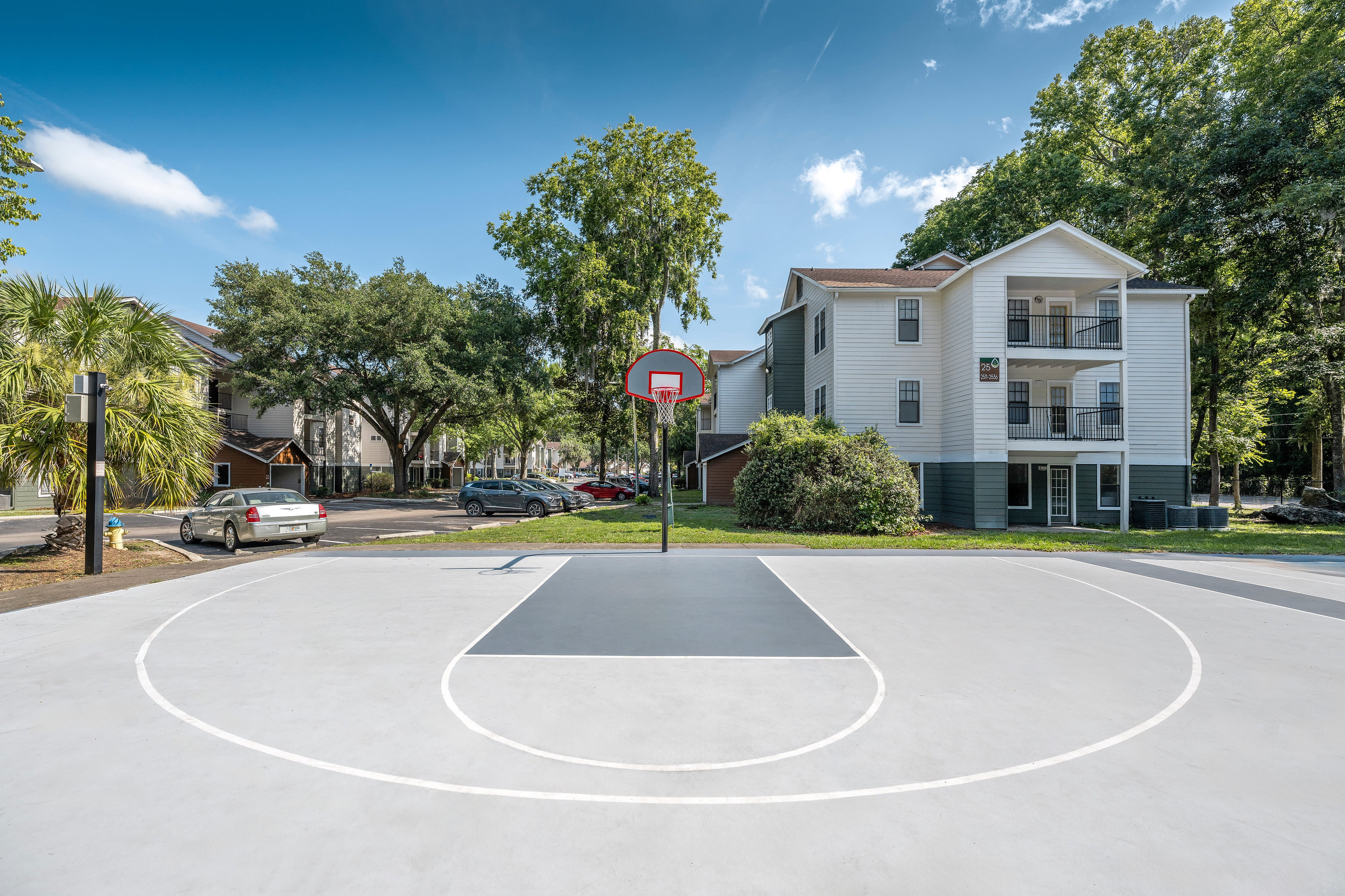 Forest View Apartments – photo 5