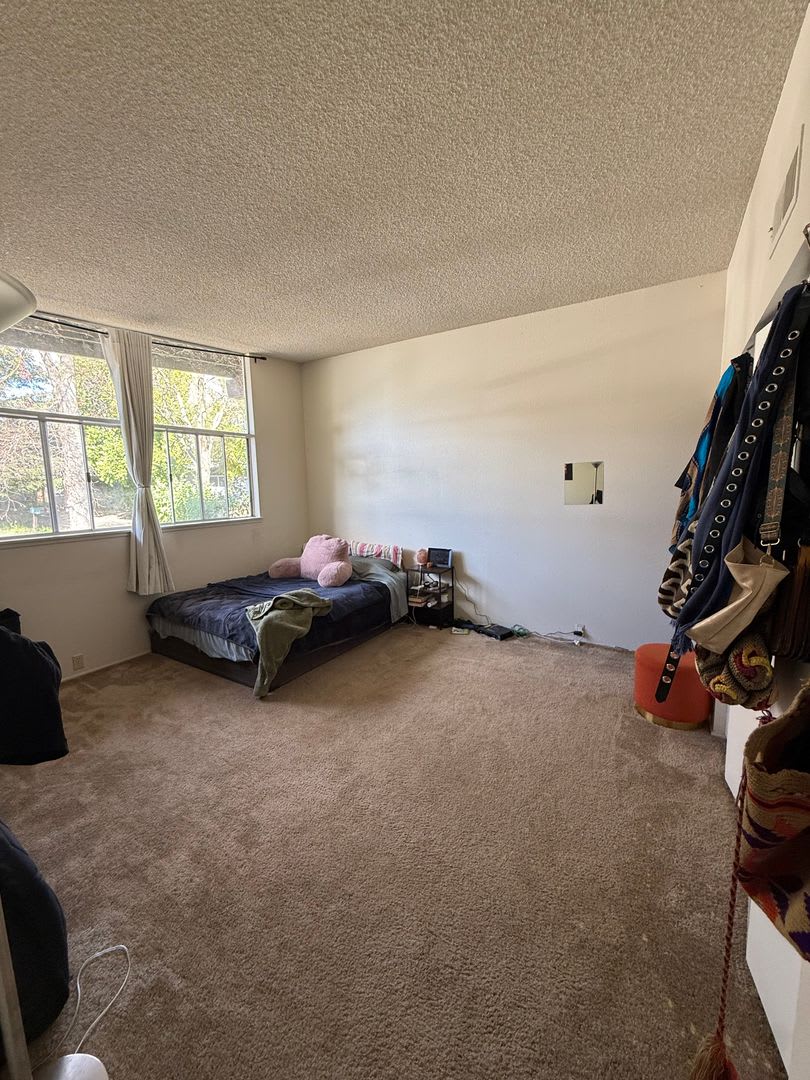 Charming 3-bedroom, 2-bathroom duplex in West Davis. – photo 5