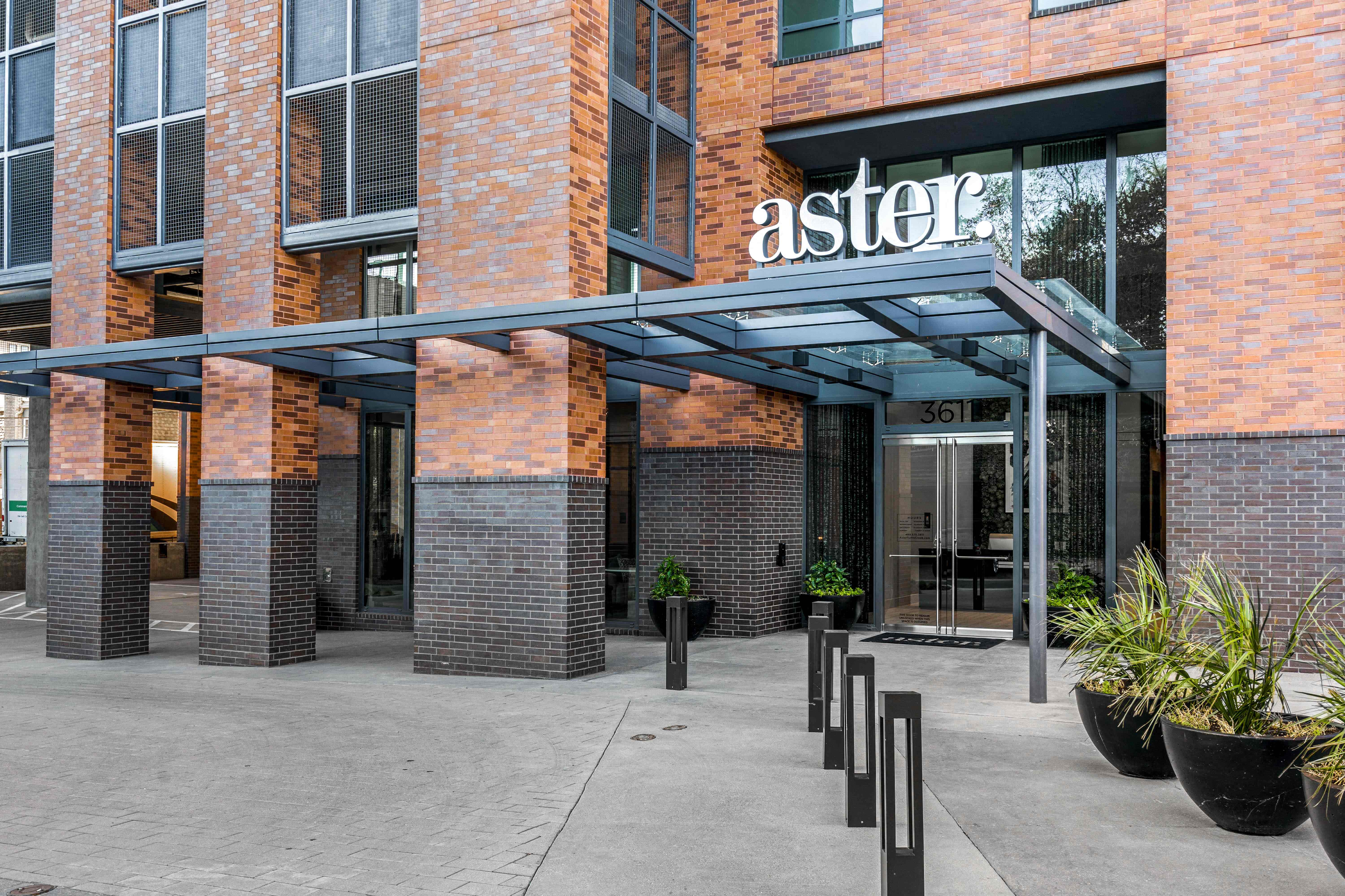 Aster – photo 2