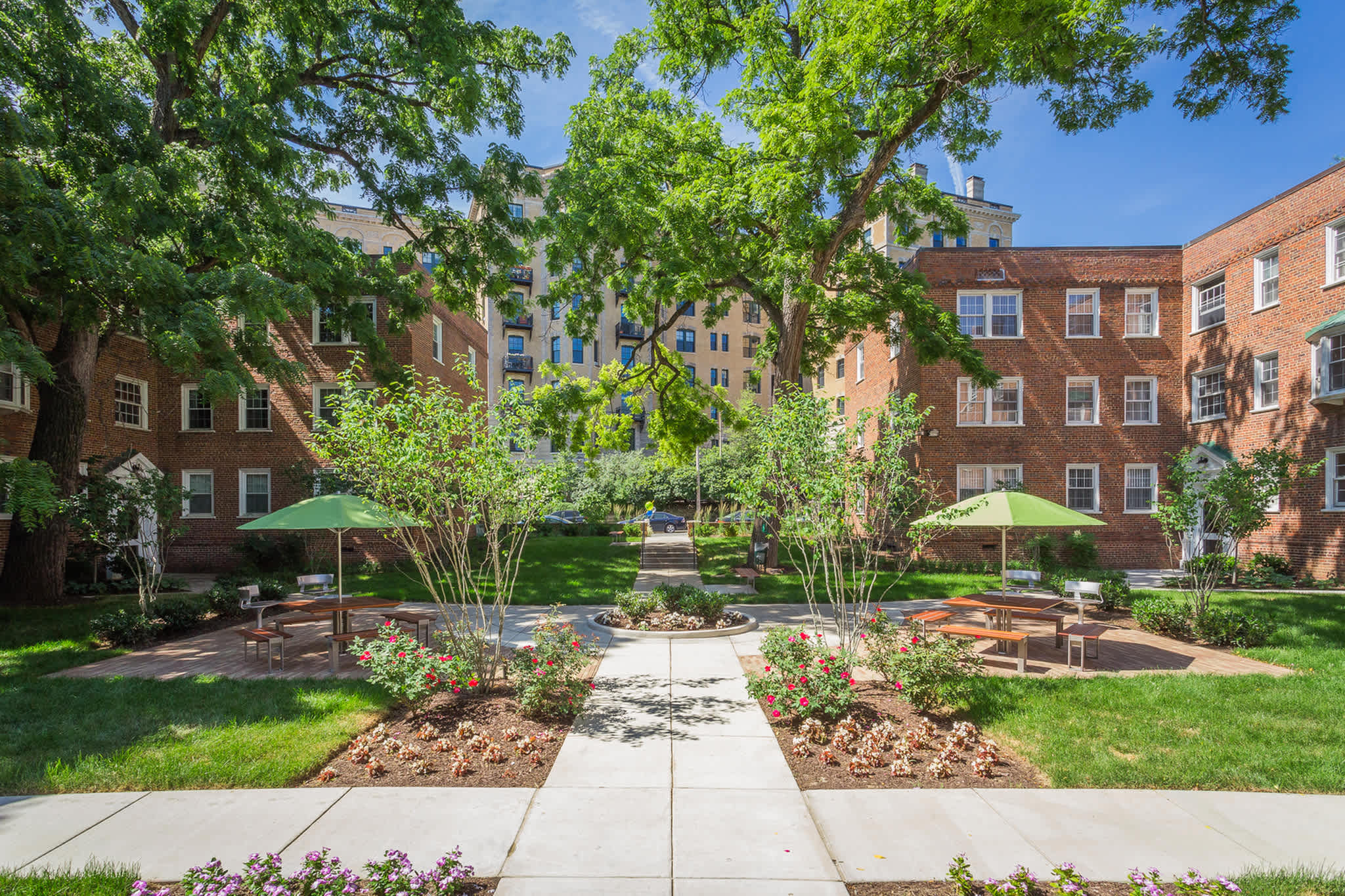 Harvard Village – photo 3